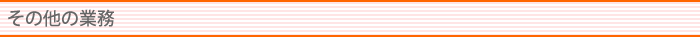 その他業務